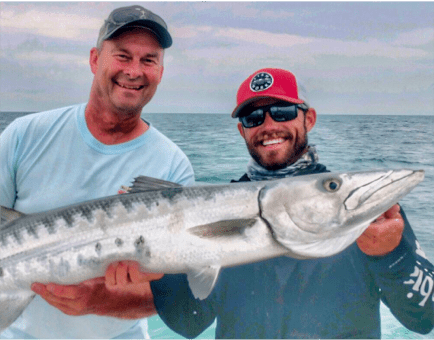 Barracuda