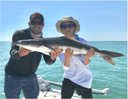 Cobia