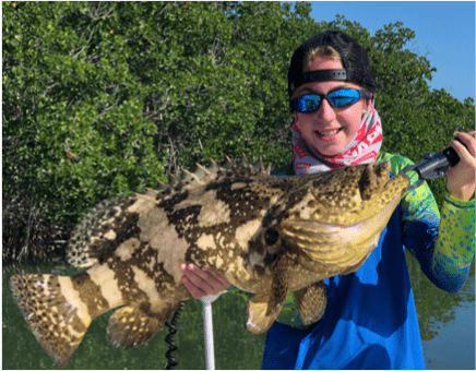 Goliath Grouper