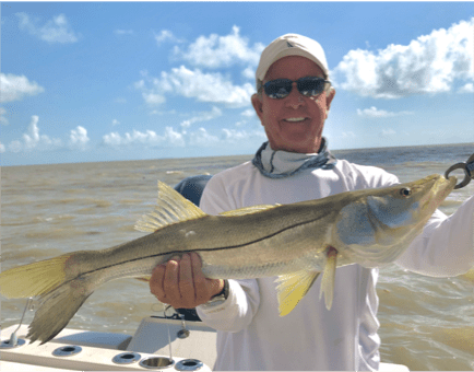 Snook