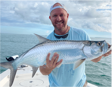 Tarpon