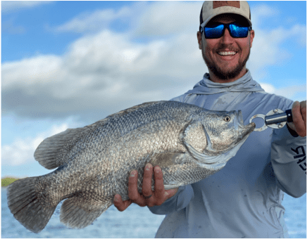 Man holding Tripletail fish